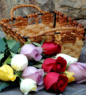 5 lindas cesta de rosas e qual ocasião devo enviá-las