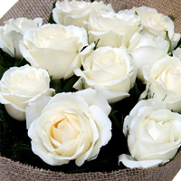 Significado Bouquet Rosas Brancas