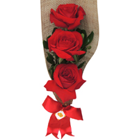 Ramalhete 3 rosas colombianas vermelhas
