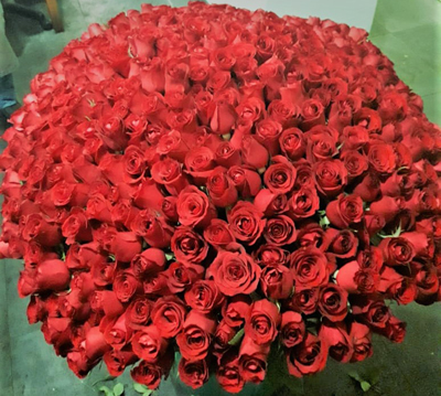 Buquê gigante com 500 rosas vermelhas - Blog Rebeca Flores