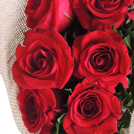 Rosas Colombianas | Buquê com 6 rosas | Rebeca Flores